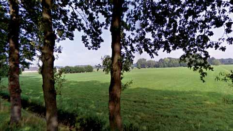 Regelmatig staan bedrijfsgebouwen dicht op de weg. Het kleinschalige karakter staat hier dan ook erg onder druk.