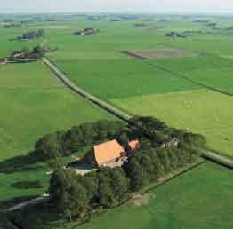 Door de beplanting op de terpen te versterken en de ruimte rondom de terpen juist open te houden, worden de terpen nog markanter in het landschap.