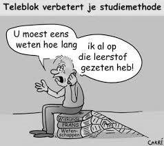 EXAMENINFORMATIE OP HET WWW mijneindexamen.nl Op deze mobiele website (ook als mobiele webapp) van het College voor Examens vind je de vakken aan waarin je examen doet.