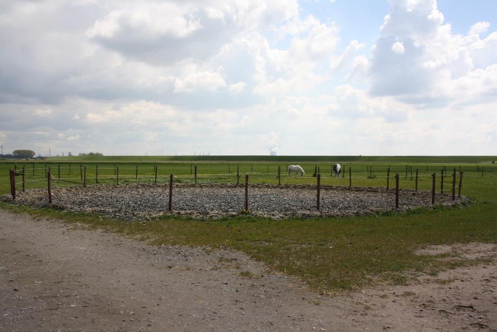 Paddocks, buitenrijbaan en weiland Op het perceel zijn een aantal ruime zand paddocks, een ruim aantal weides, een longeercirkel en een