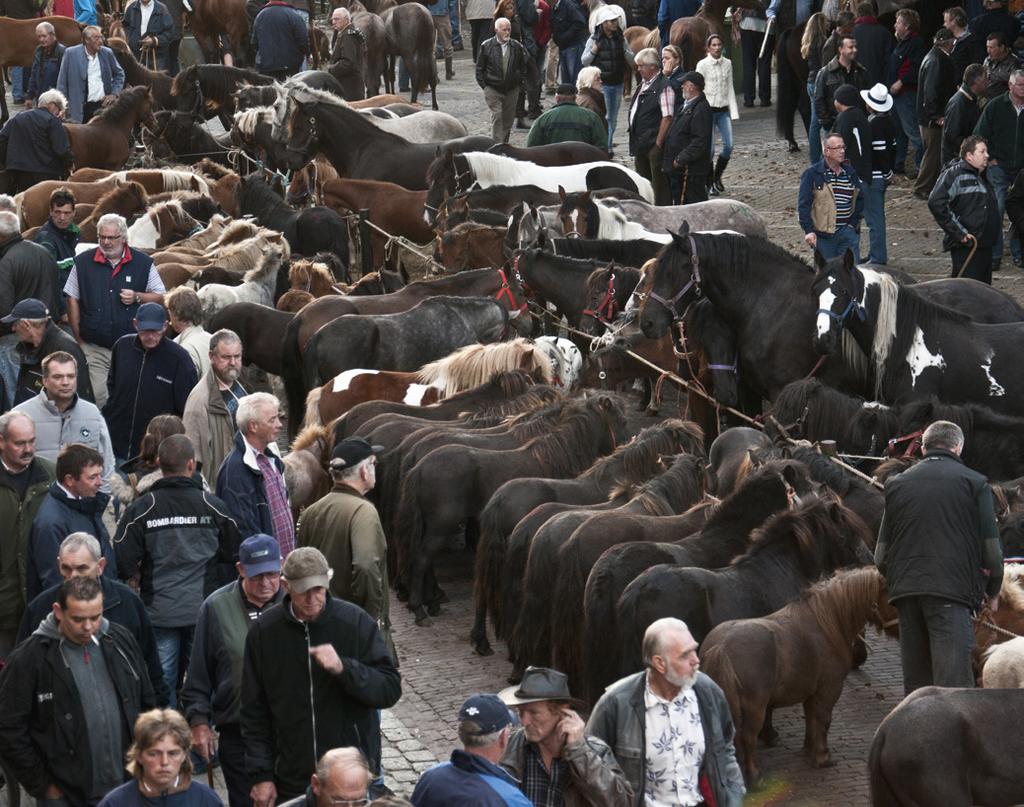Foto: Jacqueline Resink Op een paardenmarkt komen behalve paarden ook heel veel