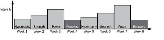 Diverse vormen van periodiseren: Golf periodisering (flexibele