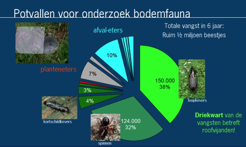 Figuur 2: resultaten van de potvallen Uit figuur 2 blijkt dat er inderdaad veel rovers voorkomen. Daarnaast komen er ook veel sluipwespen en zweefvliegen op deze leefgebieden af.