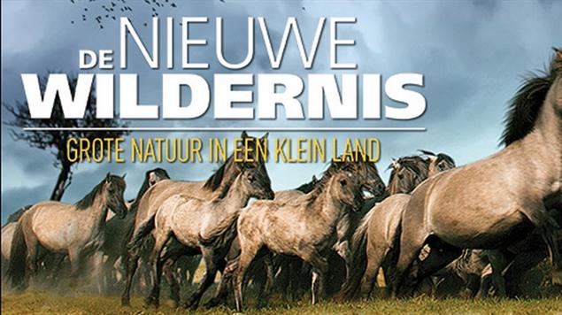 Les 6: Natuurbeheer en biodiversiteit (week 4.6.2) Natuurbeheer gebeurt in Nederland op verschillende niveaus en door verschillende organisaties.