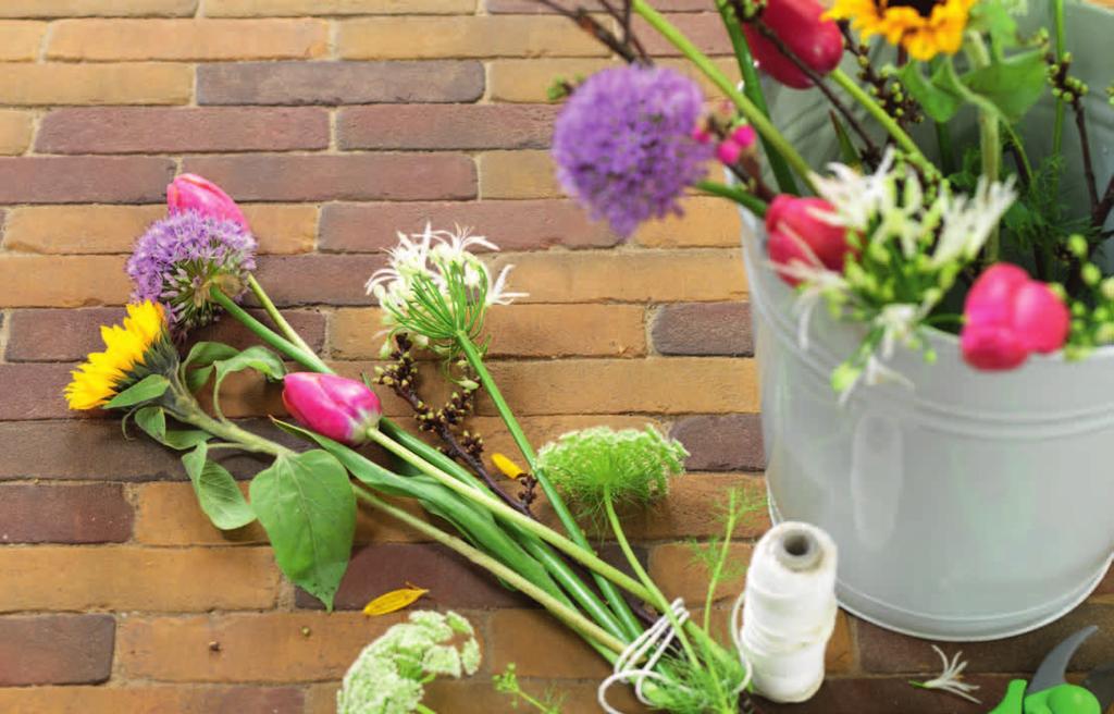 Vida gezellig en kleurrijk De Wienerberger Vida serie is geschikt voor een moderne en kleurrijke tuin met sfeer.