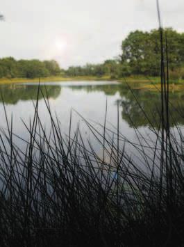 Duurzaam en milieuvriendelijk Wienerberger straatbakstenen worden op milieuvriendelijke wijze geproduceerd, met respect voor de natuur.