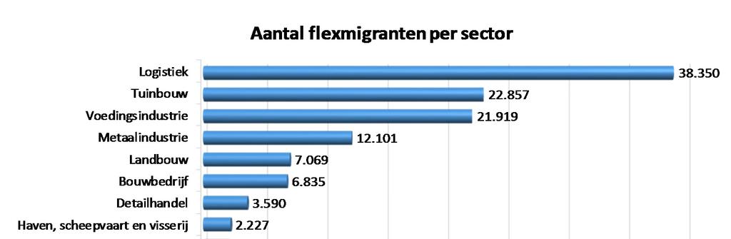 Sectoren waarin flexmigranten werken absolute aantallen In Nederland zijn er meer dan 38 duizend