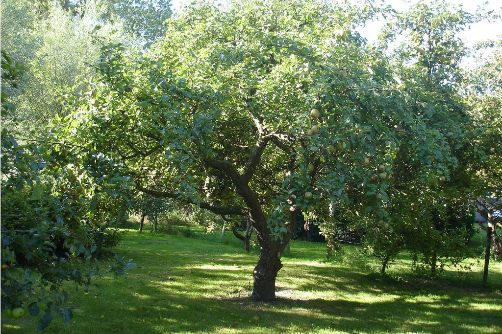 De volgende SNL pakketten landschapspakketten zijn opengesteld: * L01.01.01a Oppervlakte poel < 175 m2 * L01.01.01b Oppervlakte poel > 175 m2 * L01.02.01 Houtwal en houtsingel * L01.02.02 Hoge houtwal * L01.