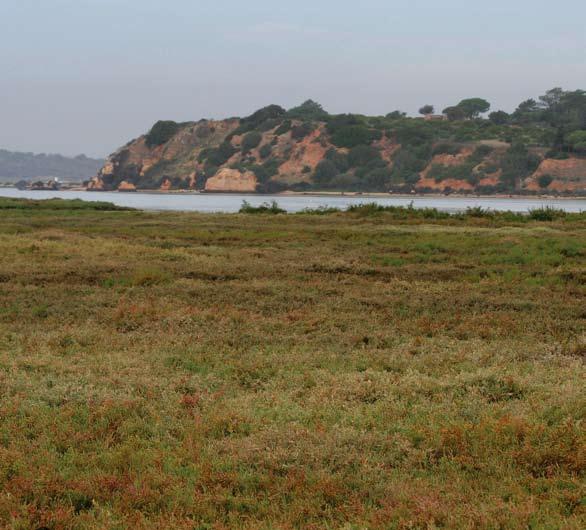 22 Het is een zeer interessante route om uitgebreid watervogels te bekijken, zowel aan het strand als in de duinen en de Ria de Alvor.