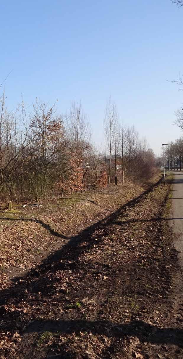 Voor een diversiteit aan bedrijven en initiatieven worden plannen opgesteld en dat in nauwe samenspraak met ondernemer en de betreffende gemeente.