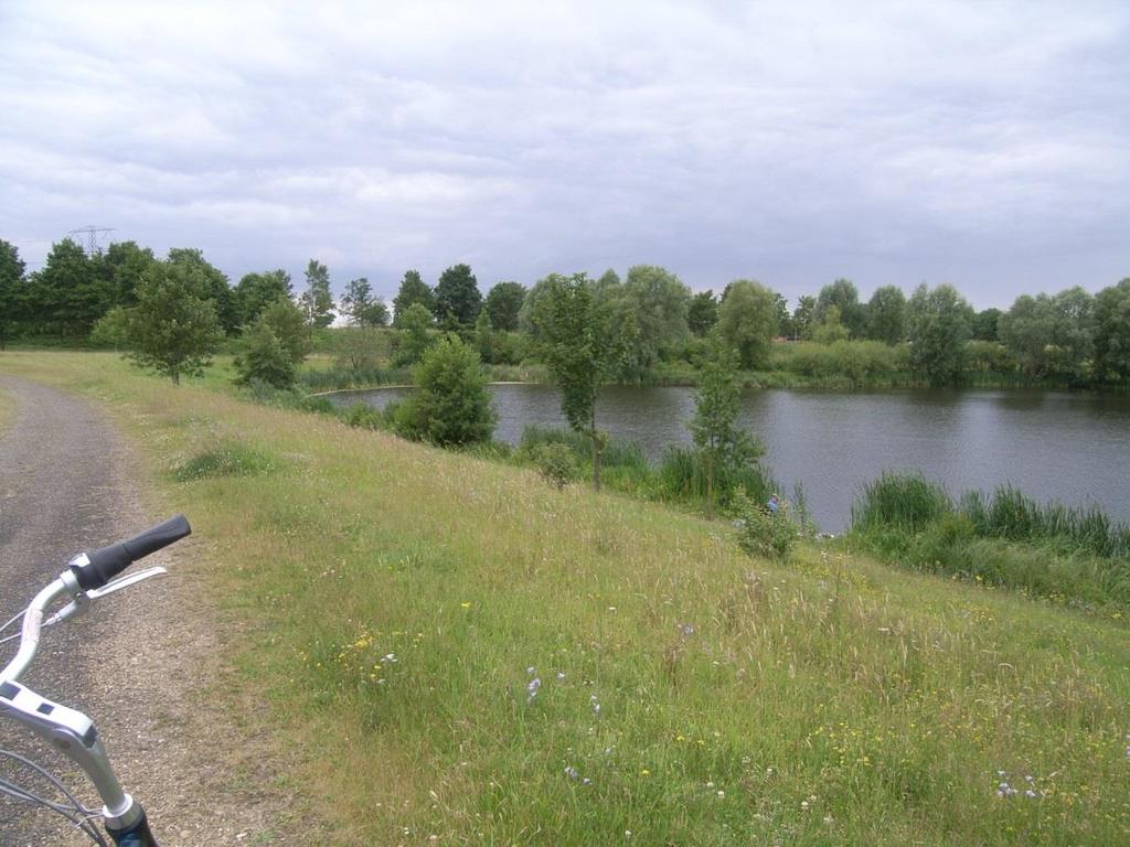 Waterschap Roer en Overmaas Effecten van het plan Afbeelding 40: Dijkvak 50.630.