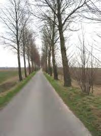 Verder bestaat ook het buitendijkse gebied voornamelijk uit grasland. Bosgebied is er nauwelijks in de Hoeksche Waard, hetgeen het landschap erg open maakt.