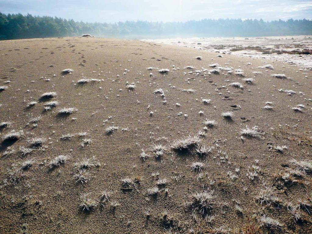 De eindeloze Veluwe is niet allleen het grootste