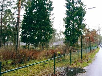 Een eindeloze Veluwe. Dat is sinds een aantal jaren een slogan van de provincie, maar verdient nog altijd de nodige aandacht.