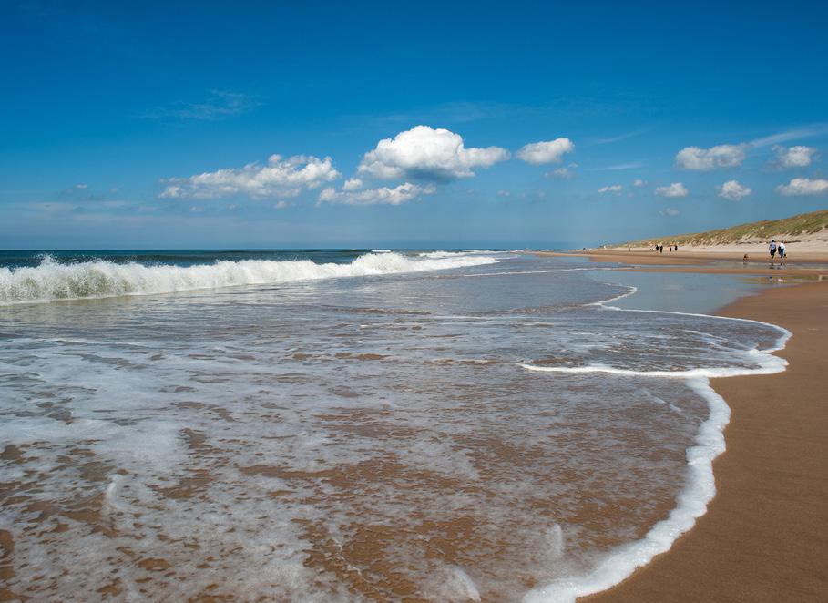 Wij eindigen op het strand waar wij lunchen en genieten van de zee.