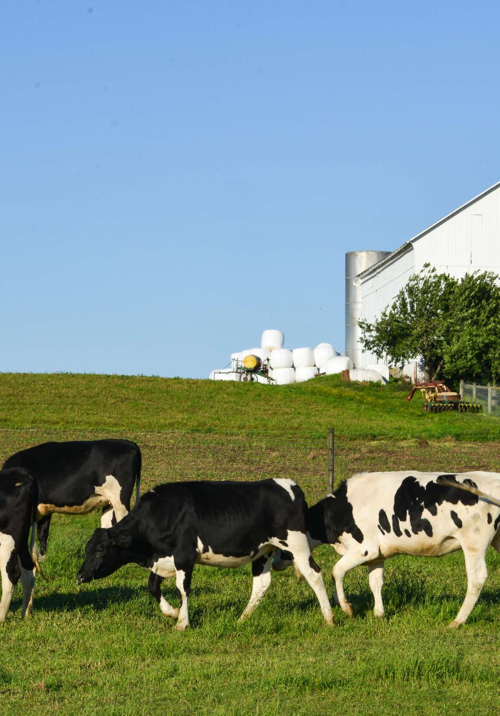 (bv. veehouderij) niet onterecht worden omgezet tot een permanente vergunning.