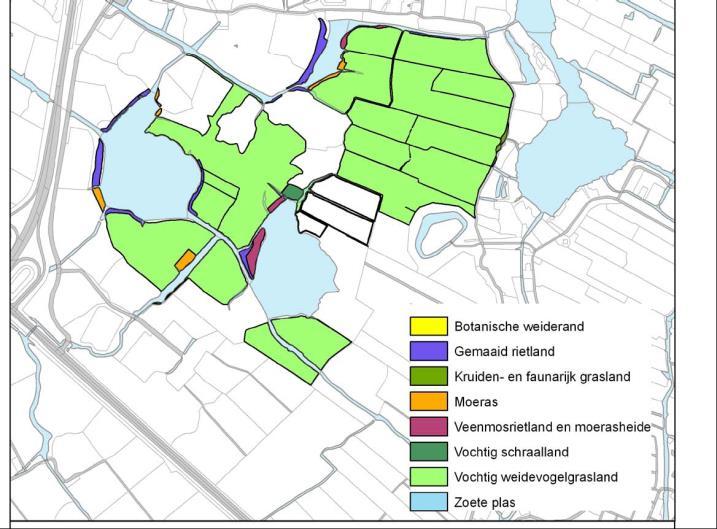 Inrichting en impressie Weijenbus Extra verstoring zal na planrealisatie plaatsvinden door aanwezigheid en verstoring door extra beweging van verkeer mensen, licht en de inrichting met bomen.