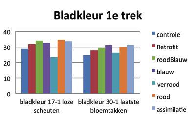 Figuur 20 Bladkleur bij de eerste trek sneeuwballen gemeten met SPAD-meter op 17-1 aan loze scheuten en op 30-1 aan laatste bloemtakken.