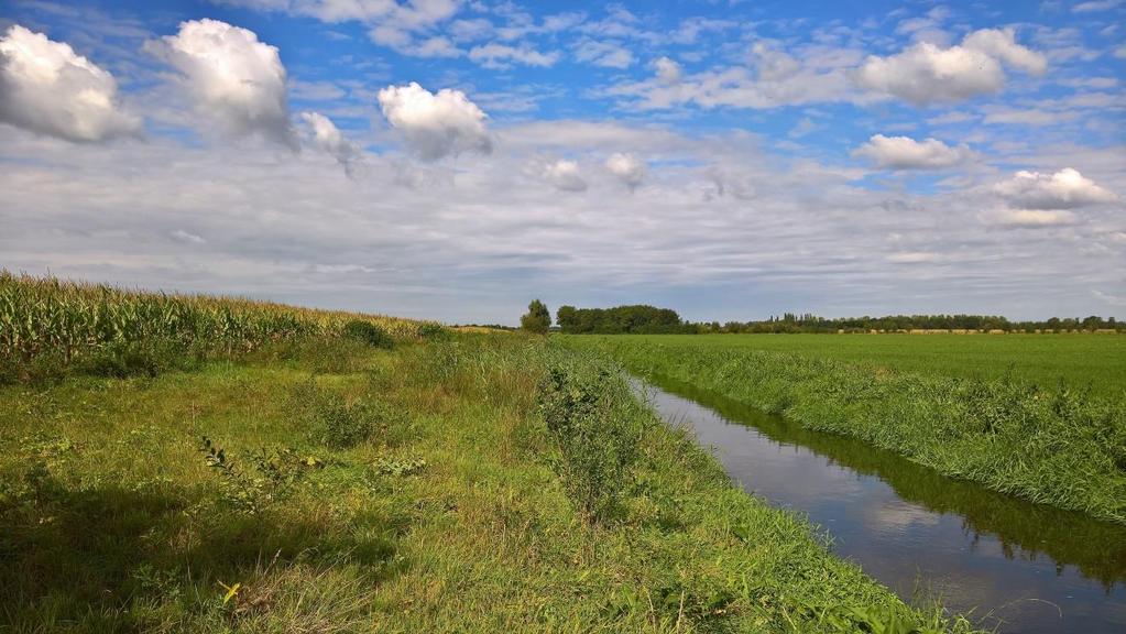 Het veldonderzoek heeft plaatsgevonden in de vorm van een (beperkt) aantal steekproeven: (delen van) 4 natte EVZ s, (delen van) 2 droge EVZ s en 27 ontsnipperingsmaatregelen (faunapassages).