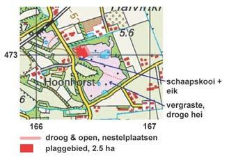 OBN-monitoring van bijen in gebieden van Natuurmonumenten 17 OLDENALLER: HEIHOEF Coördinaten: 166-472/473 Gemeente: Putten (Gelderland) Herstelmaatregelen: 2,5 hectare kleinschalig geplagd in 2003,