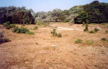 24 Nieuwenhuijsen, Reemer, Peeters, Smit & van Eck 2007 Figuur 14. Nationaal Park Zuid-Kennemerland, lokatie ZK2.