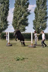 Module 1: Inleiding en Theoretisch kader Interventies met assistentie van dieren, kortweg IADs genoemd, is een overkoepelende term voor (1) therapie met assistentie van dieren (TAD) waarbij