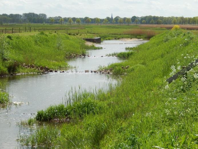 De overheid heeft voor delen in het Diessens Broek natuurdoelstellingen opgesteld, namelijk: 'Moeras' N05.01 'Nat schraalland N10.01 'Vochtig weidevogelgrasland' N13.01 'Beekbegeleidend bos' N14.