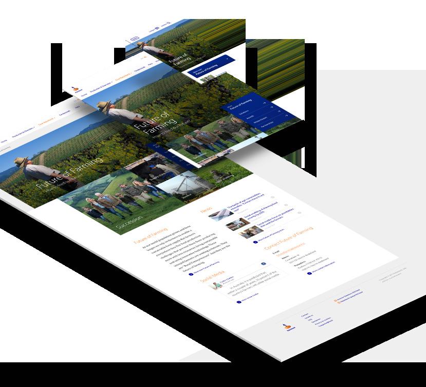 Responsive Een volledig responsive website geoptimaliseerd voor alle formaten.