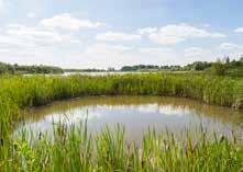 Samenwerken aan riviernatuur Of we nu werken vanuit de Kaderrichtlijn Water, Natura 2000 of de Nadere Uitwerking Rivierengebied (NURG), feit is dat we gedeelde belangen hebben: schoon en gezond water