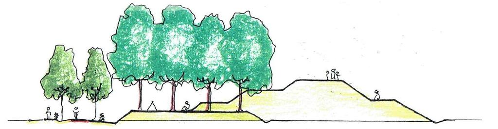Figuur 6 Spelen met hoogteverschillen 3.5 Bomenbestand: soorten en keuzes Niet alle bomen zijn overal geschikt om te planten.