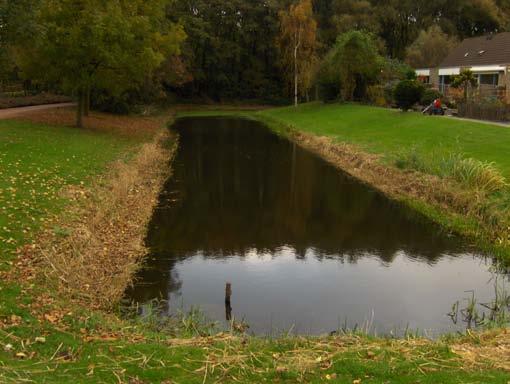 het water niet goed bereikbaar bomen) relatie met overige plannen: nvt resultaat visie workshop en klankbord