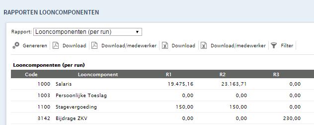 Looncomponenten per run/periode: dit is een overzicht van alle gebruikte looncomponenten met een verdeling over de verwerkte runs én perioden.