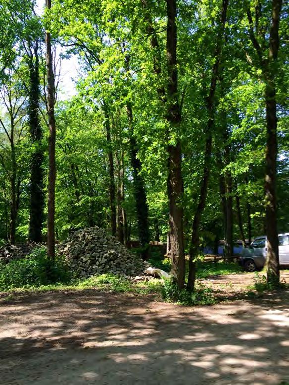 Aanvulling BER westelijke ontsluiting Amersfoort juli 2016 Bomen op zuidelijke wal De zuidelijke wal blijft volgens het nieuwe ontwerp intact, mede door de noordelijke opschuiving van de