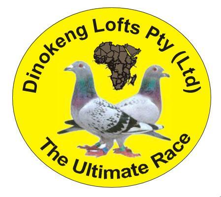 4 de vluchtseizoen 2014-2015 Hoofdrace 24 augustus 2014 Gariep Dam 624 km. Totaal prijzengeld ZAR 2 300 000,00 Dinokeng Lofts Home of The Ultimate Pigeon Race!