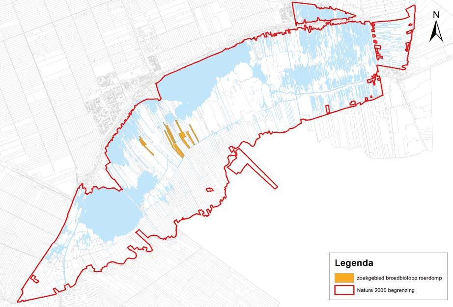 Figuur B2-125 Kansrijke locaties voor creëren van leefgebied voor de roerdomp door te plaggen op vaste (klei) bodems Bron: RoyalHaskoningDHV (2013) Tabel B2-118 Beoordeling huidige kwaliteit