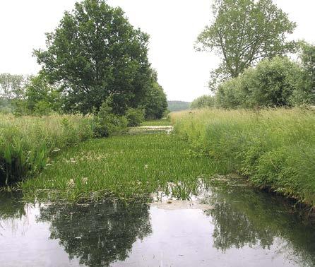 het habitattype met name voor rondom de Noordeinderplas, het Schippersgat, de Wijde van de Vliet en in sloten en vaarten Het gaat daarbij vooral om begroeiing met witte waterlelie en gele plomp De