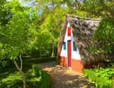 U kunt deelnemen aan een excursie naar het schilderachtige Lagoa das Sete Cidades, één van de zeven natuur wonderen van Portugal.