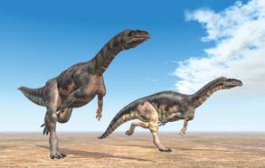 De dino s Dinosaurussen leefden zo n 170 miljoen jaar op de aarde. Ze zijn inmiddels zo n 65 miljoen jaar uitgestorven door de evolutie.