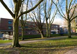 5.5.3. Pauzes De school heeft twee pauzes van 25 minuten. Tijdens de pauzes zijn de leerlingen in de kantine, op het schoolplein of op de aangewezen pauzeplekken.