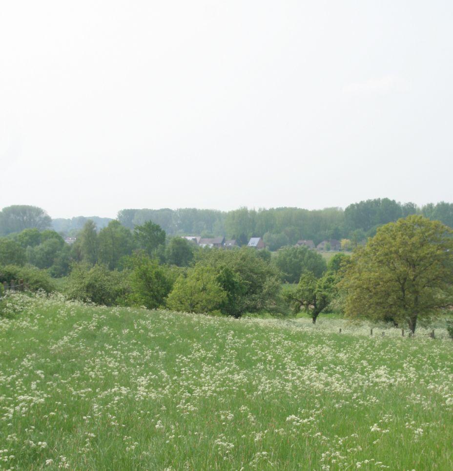 Uiteindelijke formulering doelstelling Verhoging (landschaps-)ecologische en recreatieve kwaliteit van het