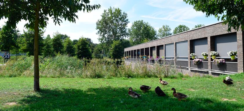 Het fietspad Hengmeng/ 9 Polsbroek, de Maaspoortweg en de rijksweg A59 begrenzen de buurt Maasdal. In de buurt staan veelal rijtjeswoningen; tegen de Maaspoortweg ligt ook een aantal portiekflats.