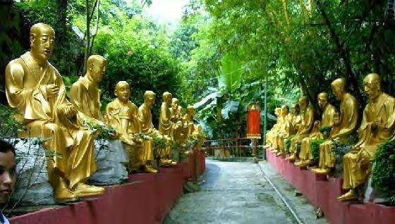 In Sha Tin (ten noorden van Kowloon) Temple of Ten Thousand Buddhas Na een serieuze klim van meer dan 500 treden, met op elke trap langs beide kanten een groot goudkleurig Boeddhabeeld, kom je aan