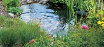 Vijverbouw & tuinaanleg Vijverschalen Vijverschalen PE organisch Organische vormen voor een natuurlijk uitzicht Voorgevormde kunststof bassins voor vijvergroottes tot 1 m³ Snel en eenvoudig te