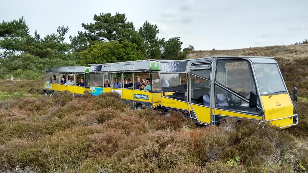 HET ZONNETREINUITJE Een heerlijke dag aan de kust met een unieke tocht door het breedste en hoogste duingebied van Nederland.