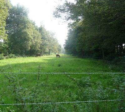 Schaapskooi ter herinnering aan de schapenhouderij, die tot ver in de negentiende eeuw een grote rol speelde in Wiesel Vrijstaande boerderij aan een smalle weg liggend met een mooi doorkijkje op
