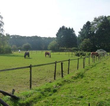 Tijdens de meest recente ijstijd (ca. 100.000 12.000 jaar geleden), bereikte het landijs ons land niet. Wel was de bodem constant bevroren en was er weinig begroeiing.