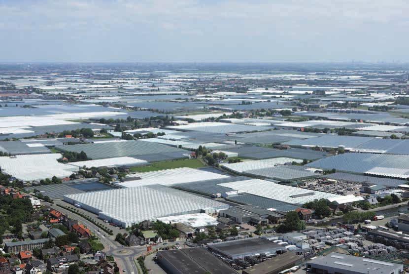 Glas 3.1 Kassengebied Westland. Foto: Thierry Schut Door toekomstige ontwikkelingen, waaronder de effecten van klimaatverandering, staat de watervoorziening binnen de glastuinbouw mogelijk onder druk.