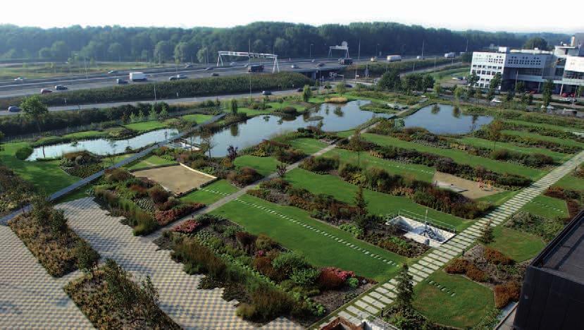 Natuurvriendelijke oevers In Delft zijn op verschillende plekken natuurvriendelijke oevers aangelegd.