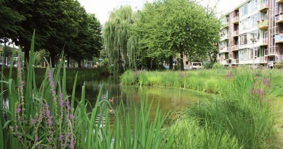 Natuurvriendelijke oevers zijn nodig om meer water op te vangen in de sloten.