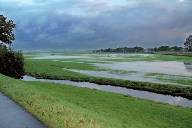 Droogte, watertekort, verzilting In droge perioden neemt de vraag naar zoet water toe terwijl het aanbod uit het hoofdwatersysteem beperkt is uit het Brielse Meer, inlaat Gouda of Kleinschalige